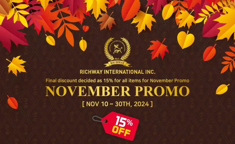 Promo November 2024